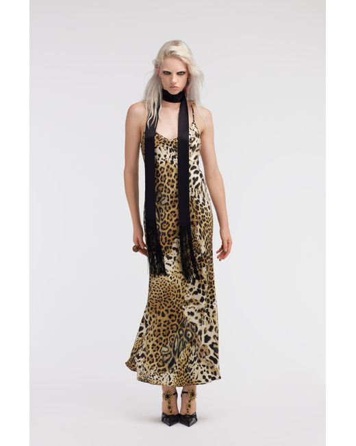 Roberto Cavalli Metallic Jaguar Skin Print Lingerie Dress