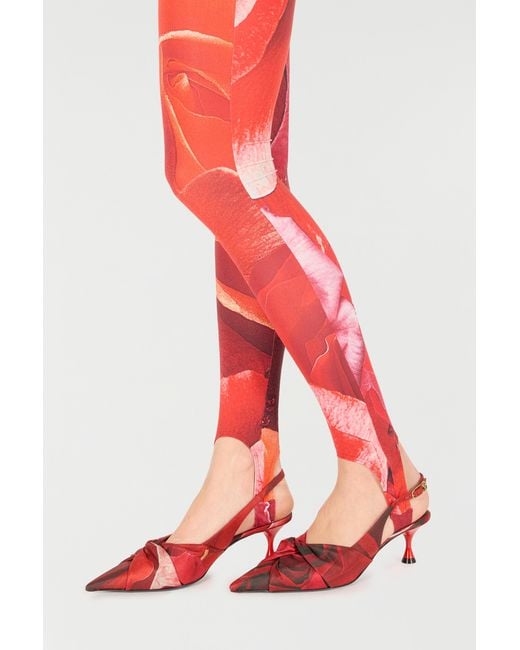 Roberto Cavalli Red Rose-Print Sleeveless Jumpsuit