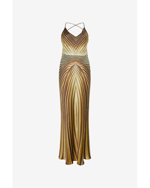 Roberto Cavalli Metallic Long Silk Dress With Iside Print