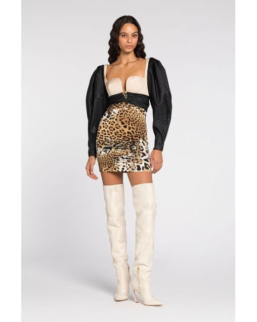 Roberto Cavalli Black Leopard Print Mini Dress