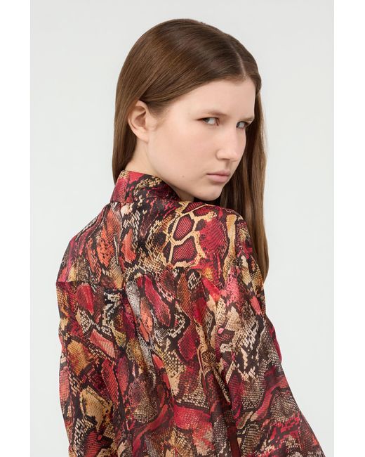 Roberto Cavalli Red Shirt With Python Print