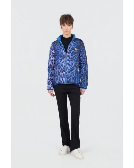 Roberto Cavalli Blue Bomber