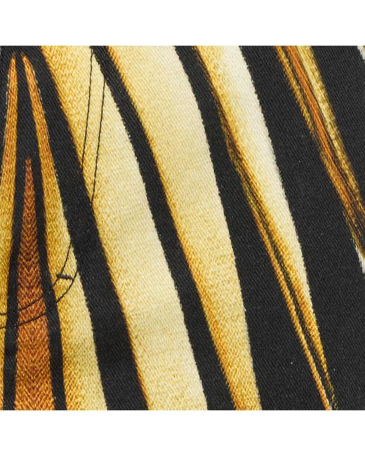 Roberto Cavalli Jeans Mit Ray Of-Print in White für Herren
