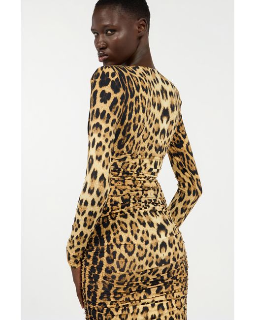 Roberto Cavalli Brown Midi Dress With Jaguar Skin Print