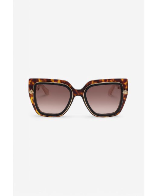Roberto Cavalli Multicolor Wide And Feminine Front Sunglasses With Double Ring Decoration