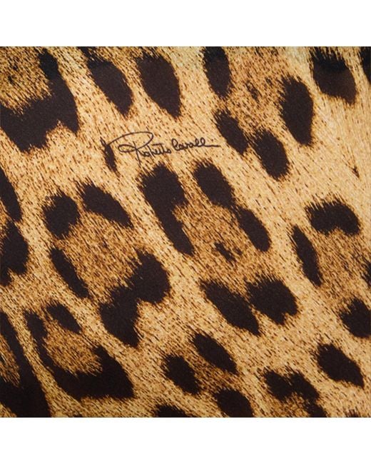 Roberto Cavalli Metallic Long Silk Dress With Jaguar Skin Print
