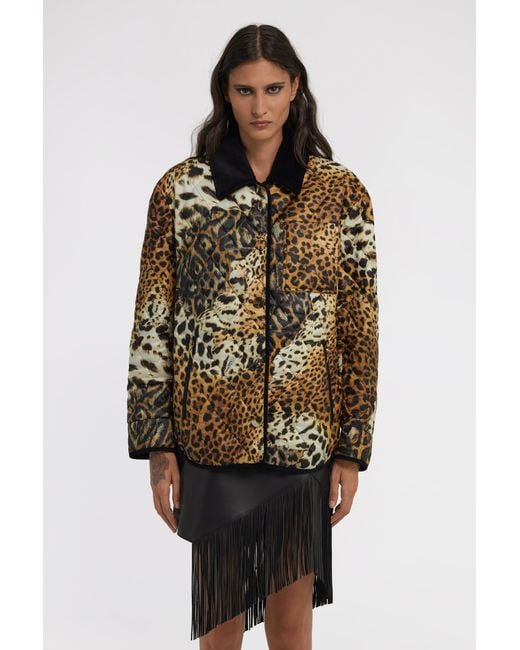 Roberto Cavalli Brown Leopard Printed Jacket