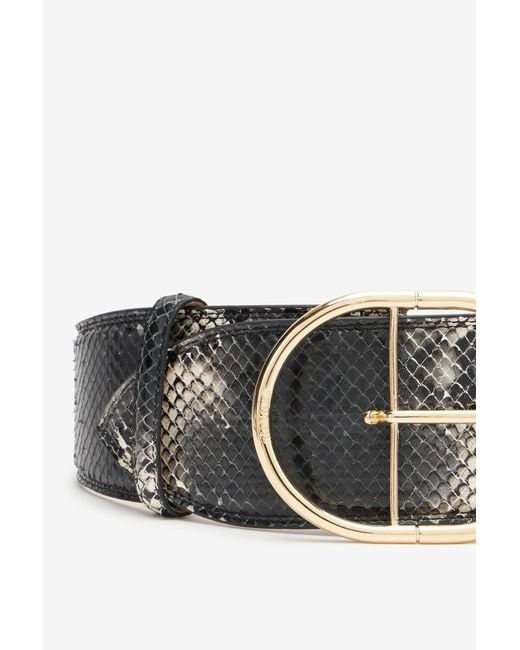 Roberto Cavalli Multicolor Shaped Belt