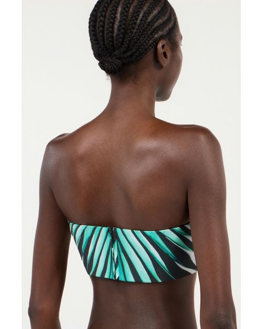 Haut Bandeau Imprimé Ray Of Sea Roberto Cavalli en coloris Green