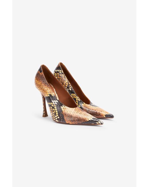 Roberto Cavalli Multicolor Pumps With Python Print