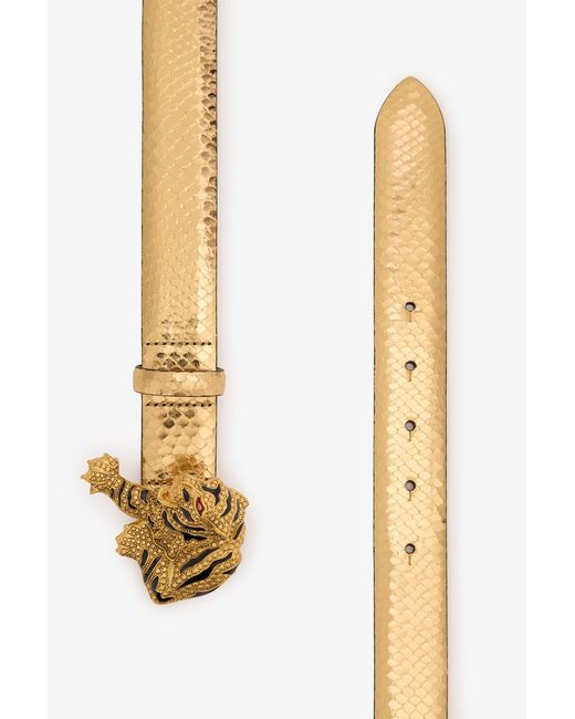Roberto Cavalli White Roar Belt
