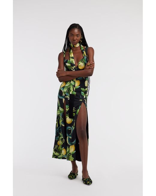 Roberto Cavalli White Midi Dress With Lemon Print