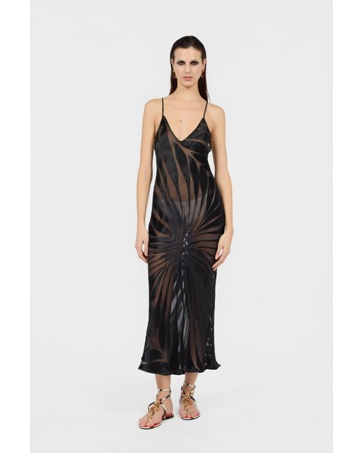 Roberto Cavalli Black Slip Dress With Ray Devoré Print