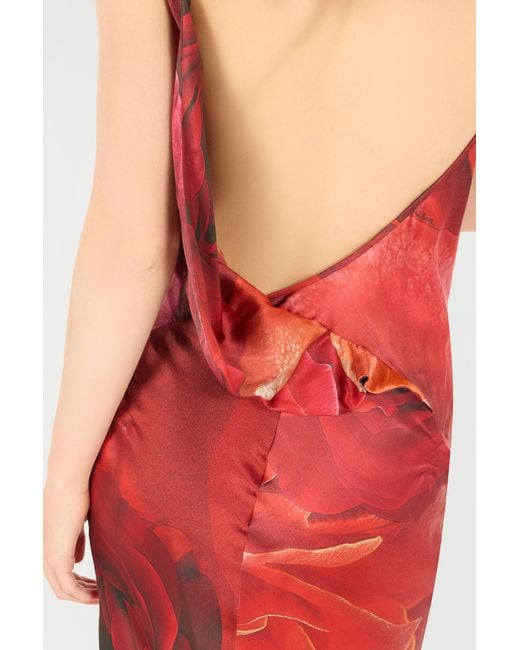 Roberto Cavalli Red Long Dress With Rose Print And Bejeweled Tiger