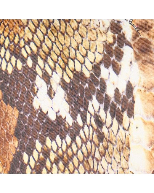 Roberto Cavalli Multicolor Python Print Jacket