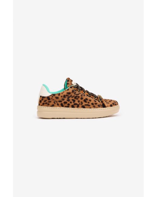 Roberto Cavalli Multicolor Sneakers With Jaguar Skin Print