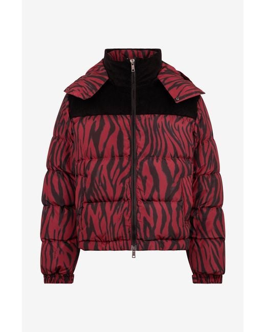 Roberto Cavalli Red Zebra Print Down Jacket for men