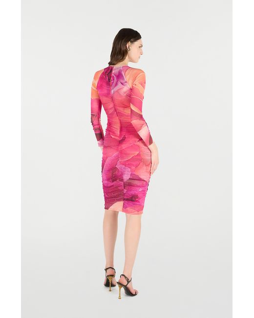 Roberto Cavalli Pink Sheath Dress With Rose Print