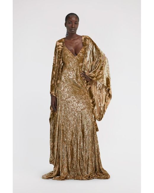 Roberto Cavalli Metallic Long Velvet Devore Gown