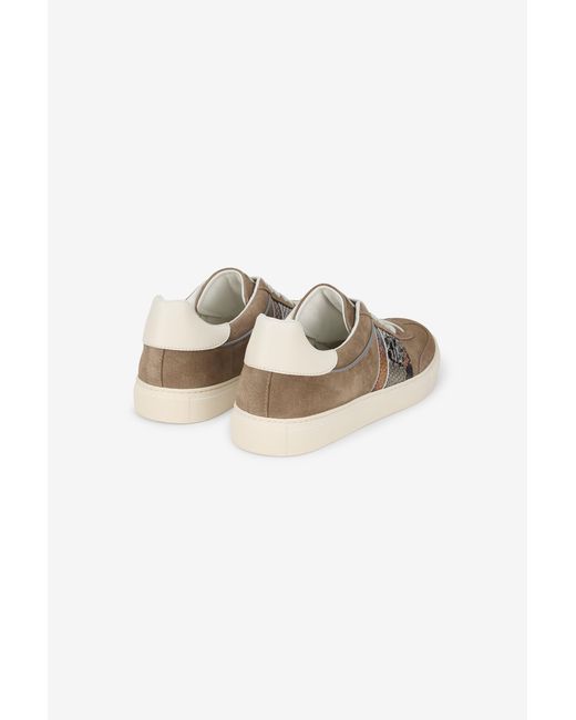 Roberto Cavalli Multicolor Sneakers for men