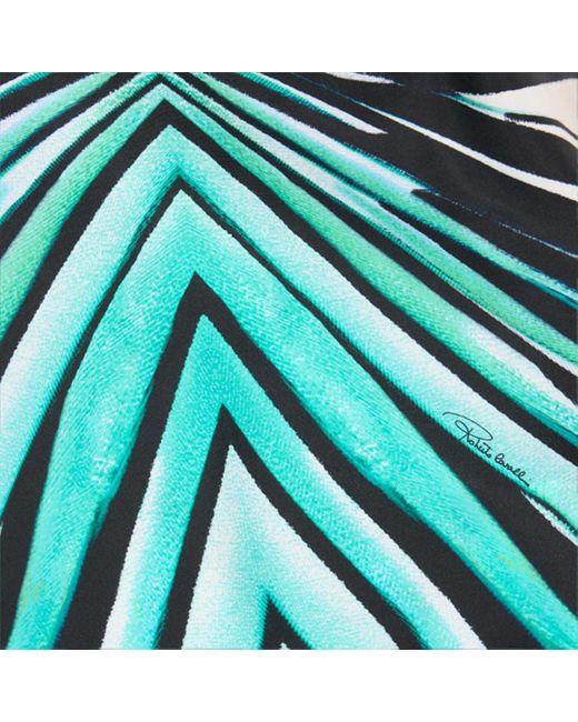 Roberto Cavalli Green Ray Of Sea Print Silk Top
