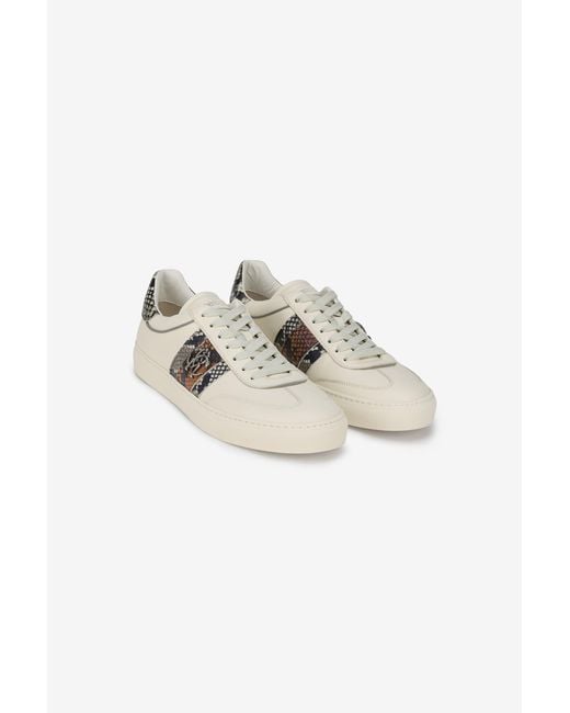 Roberto Cavalli Sneaker Aus Leder Mit Python-Print in Multicolor für Herren