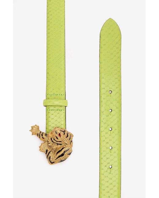Roberto Cavalli Multicolor Roar Belt