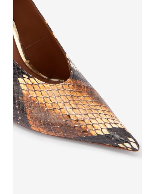 Roberto Cavalli Multicolor Pumps With Python Print