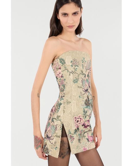 Minirobe À Imprimé Oriental Bird Roberto Cavalli en coloris Natural