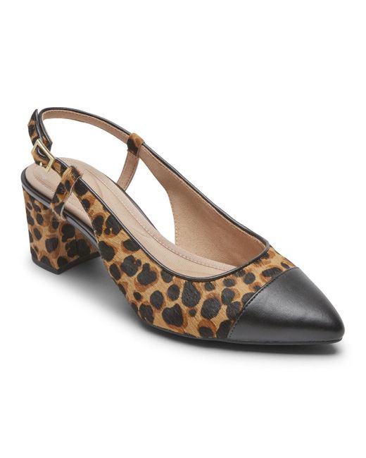 rockport salima