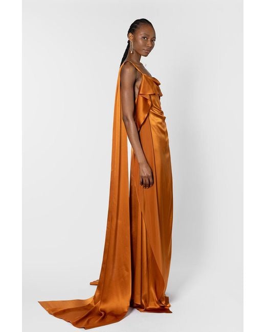 Roksanda Brown Lysa Dress