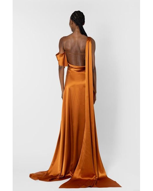 Roksanda Brown Lysa Dress