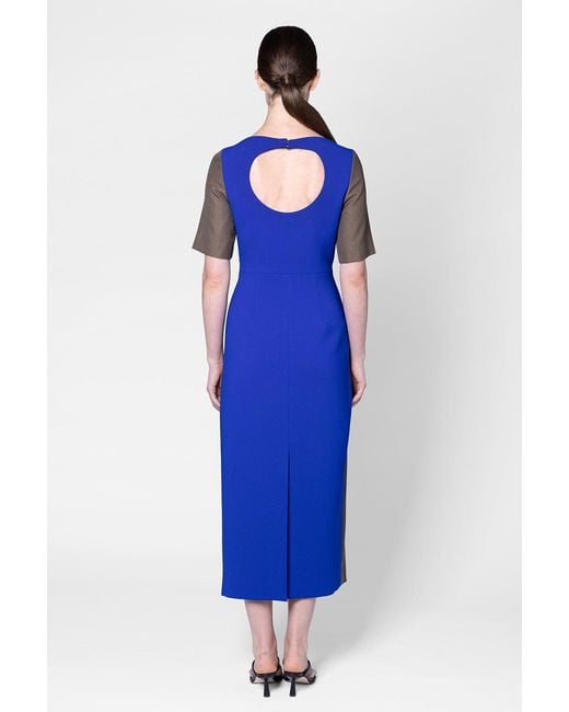 Roksanda Blue Caia Dress
