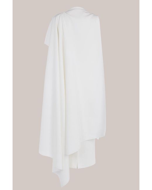 Roksanda Natural Demetria Dress