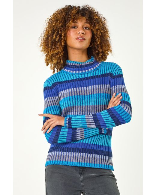 Roman Blue Roll Neck Stripe Print Ribbed Knit Jumper