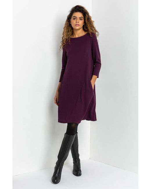 Roman Purple A-Line Pocket Detail Stretch Swing Dress
