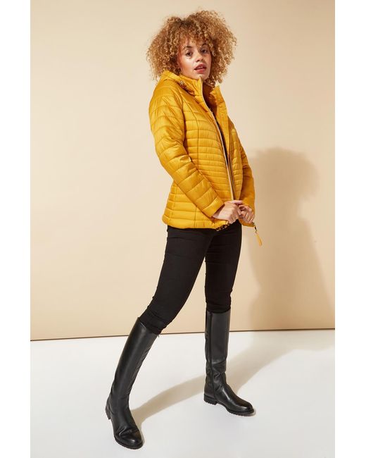 Roman Yellow Hooded Zip Through Padded Coat