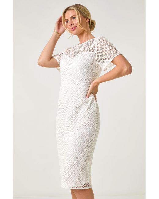 Roman Petite Lace Short Sleeve Dress in White