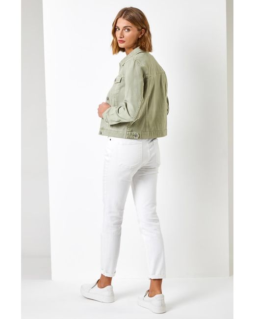 Roman Multicolor Classic Cotton Denim Jacket