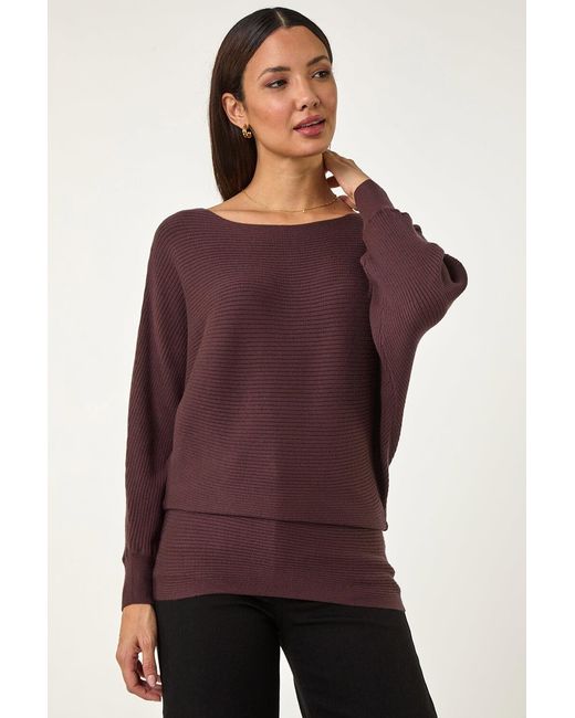 Roman Purple Ribbed Batwing Knit Jumper