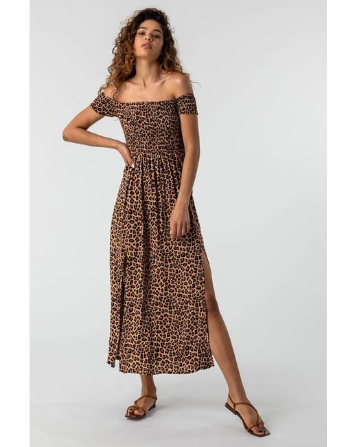 Roman Brown Shirred Leopard Print Bardot Dress