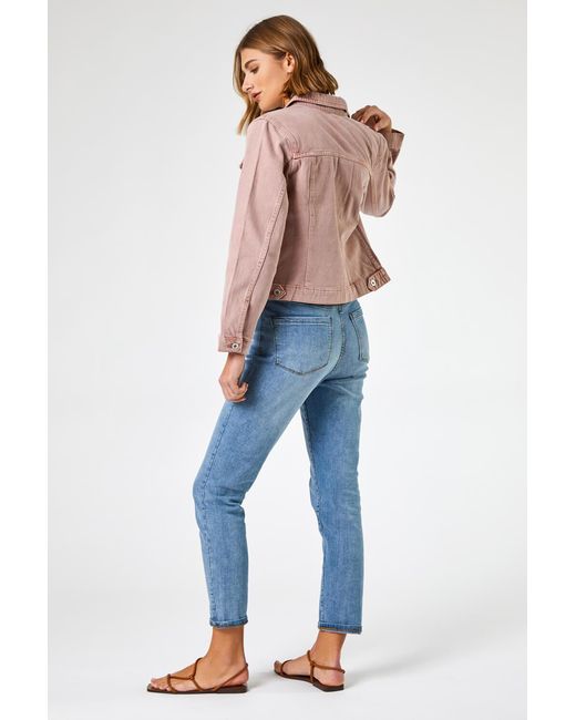 Roman Multicolor Classic Cotton Denim Jacket
