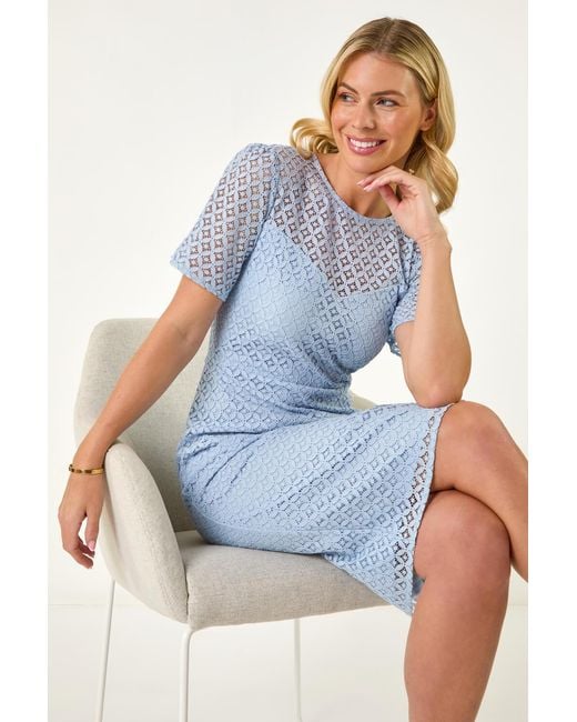 Roman Petite Blue Lace Short Sleeve Dress