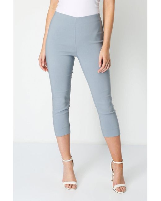Roman Gray Cropped Stretch Trouser
