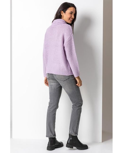 Roman Purple Textured Roll Neck Jumper