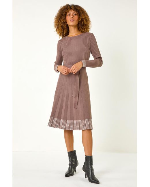 Roman Brown Ribbed Stretch Knit Border Print Dress