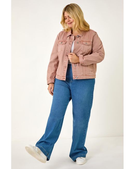 Roman Curve Blue Mid Wash Denim Jacket