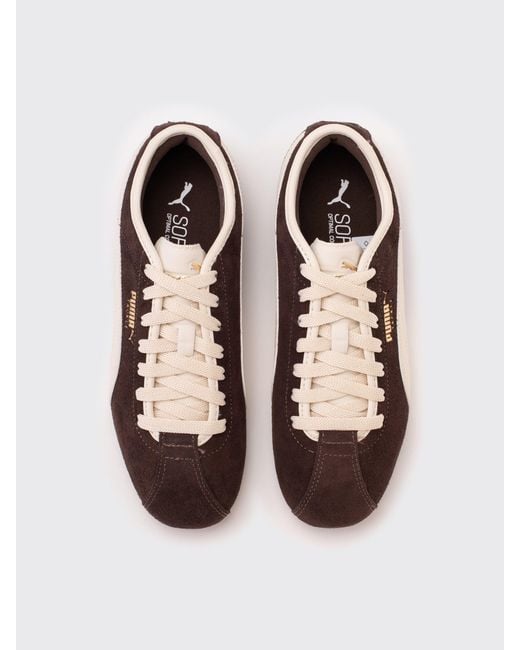 PUMA Brown Tackle