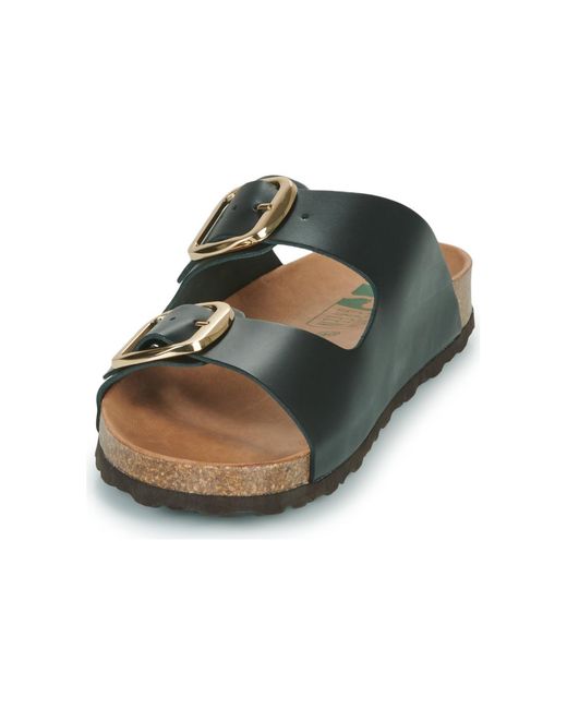 Dream in Green Black Mules / Casual Shoes Milette