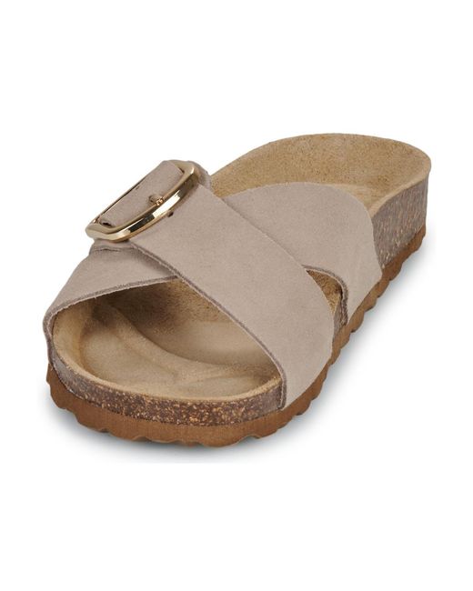 Betty London Brown Mules / Casual Shoes Nour